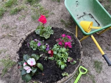 Blomster 